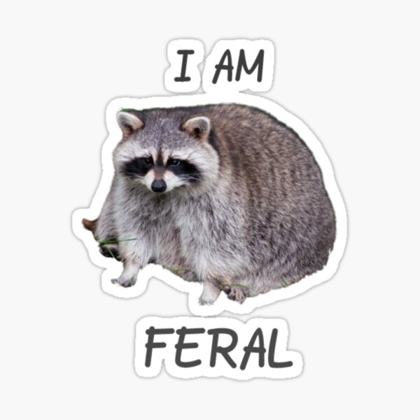 "I am feral meme" Sticker for Sale by NoCoffeeNoLife Redbubble