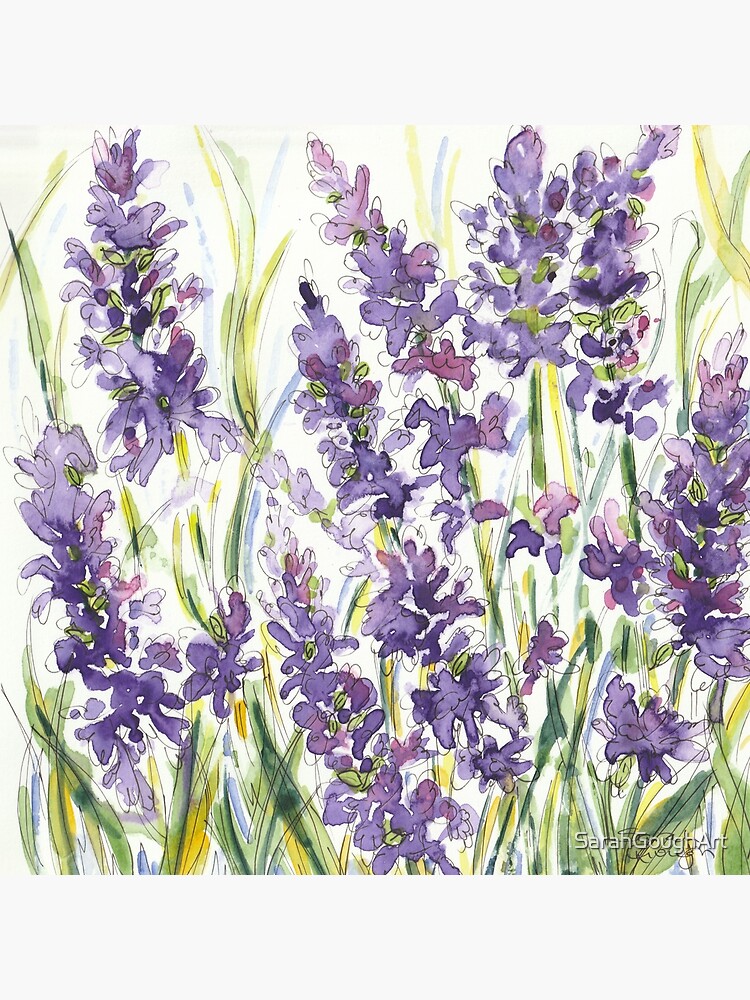 Thumbnail 3 of 3, Poster, Lavender Wildflower Plant and Herb Watercolour and Fine Liner designed and sold by SarahGoughArt.