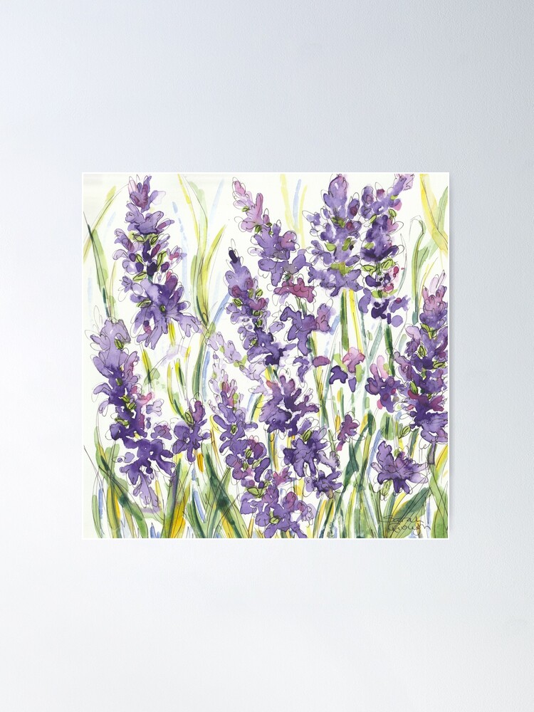 Thumbnail 2 of 3, Poster, Lavender Wildflower Plant and Herb Watercolour and Fine Liner designed and sold by SarahGoughArt.