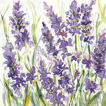 Artwork thumbnail, Lavender Wildflower Plant and Herb Watercolour and Fine Liner by SarahGoughArt