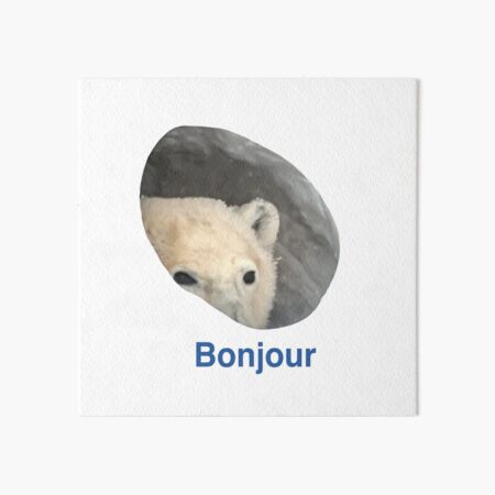 Bonjour - Polar Bear Meme Art Board Print