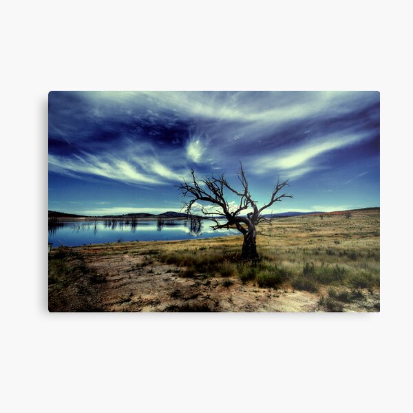 The Borders of your mind Metal Print