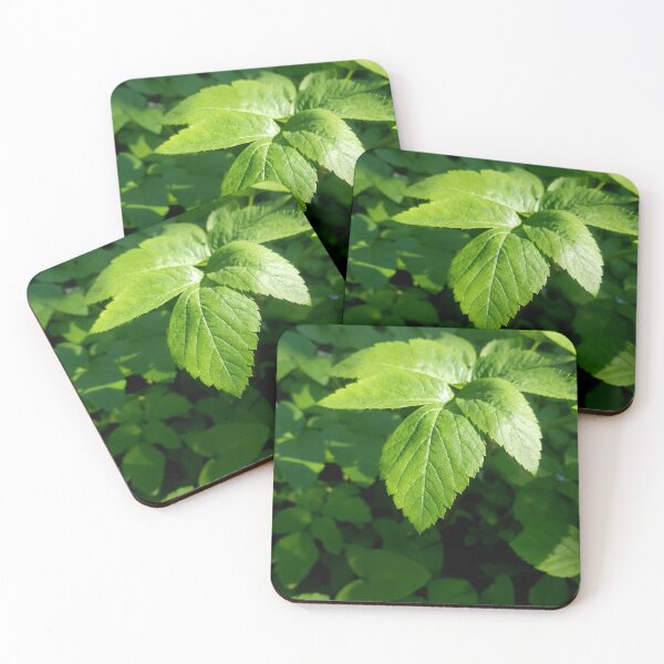 Item preview, Leaves in the Light designed and sold by Colorful Misfits.