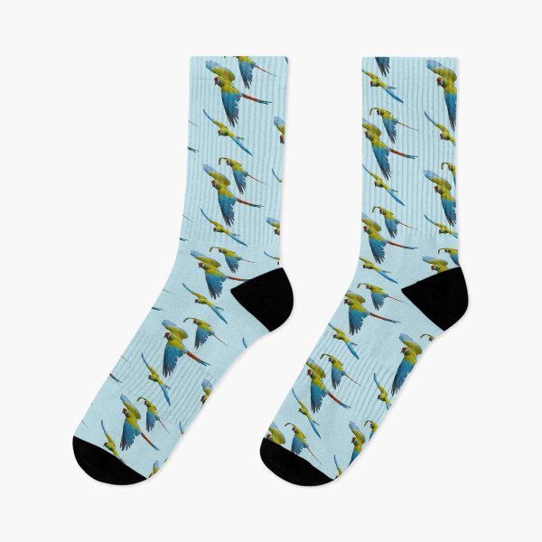Item preview, 3 Blue and yellow macaw parrot, Green macaw flying, Of course designed and sold by CreaVisArt.
