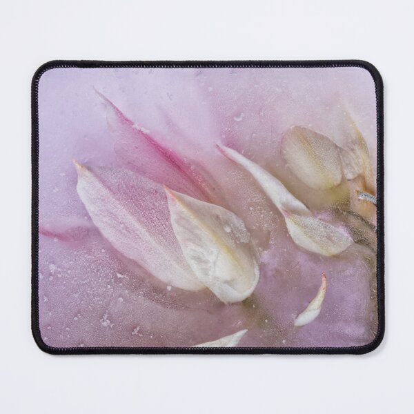 Item preview, Venus Embarrassed  designed and sold by Zina Zinchik (Seletskaya).