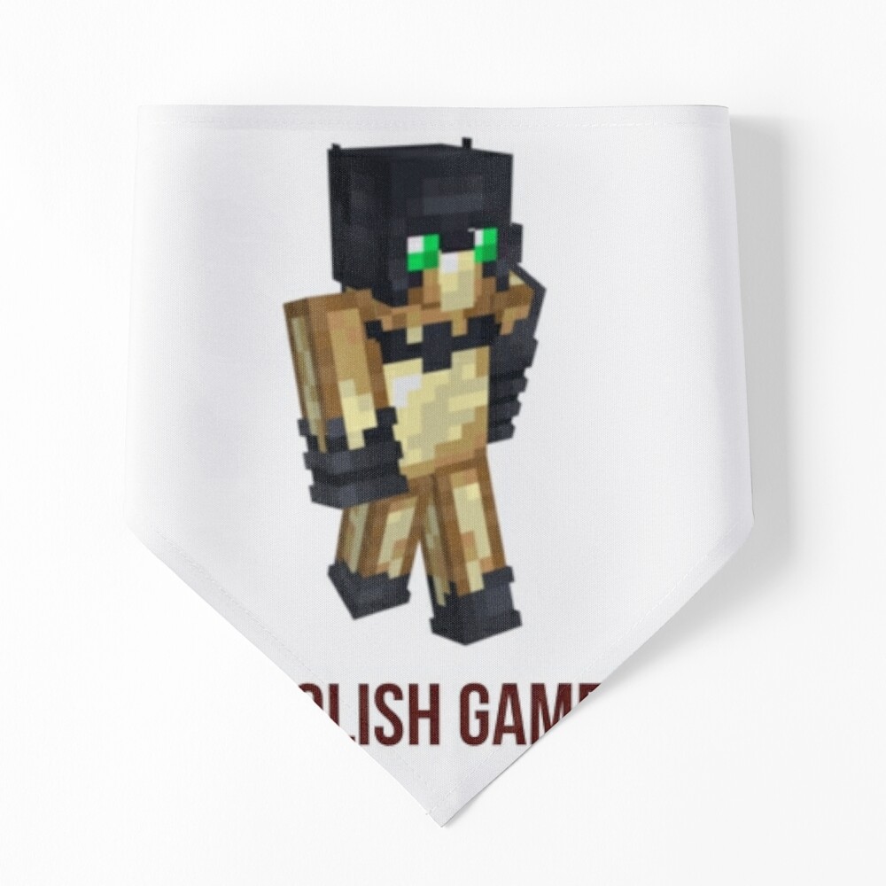 Poster for Sale avec lœuvre « skin minecraft gamer stupide » de lartiste  bestizeyy | Redbubble