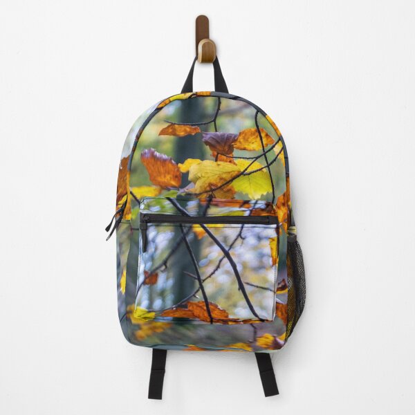 Item preview, Sunlight in Cranham Woods, Stroud, Gloucestershire designed and sold by Jeff Wilson.