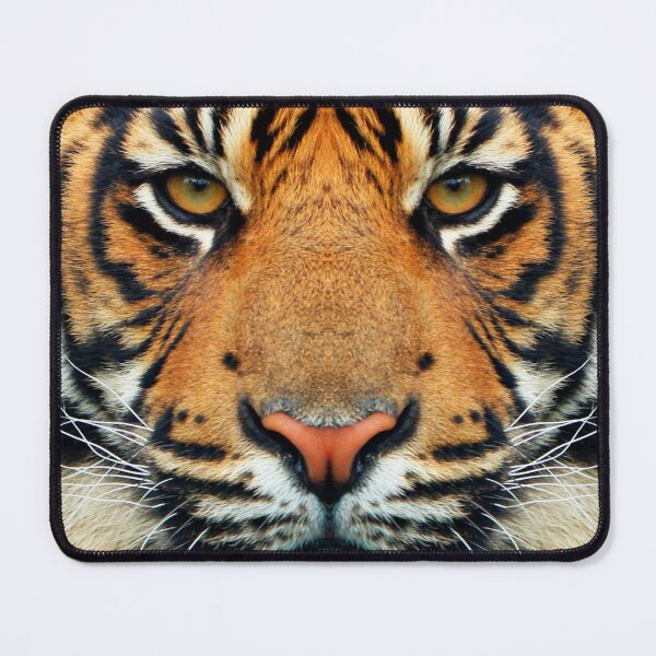 Item preview, Tiger - Wild Animal Photography designed and sold by La Chic.