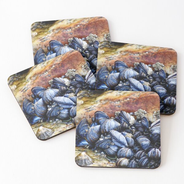 Item preview, Cluster of Mussels Shells on Rocks designed and sold by Charles Oliver Creations.