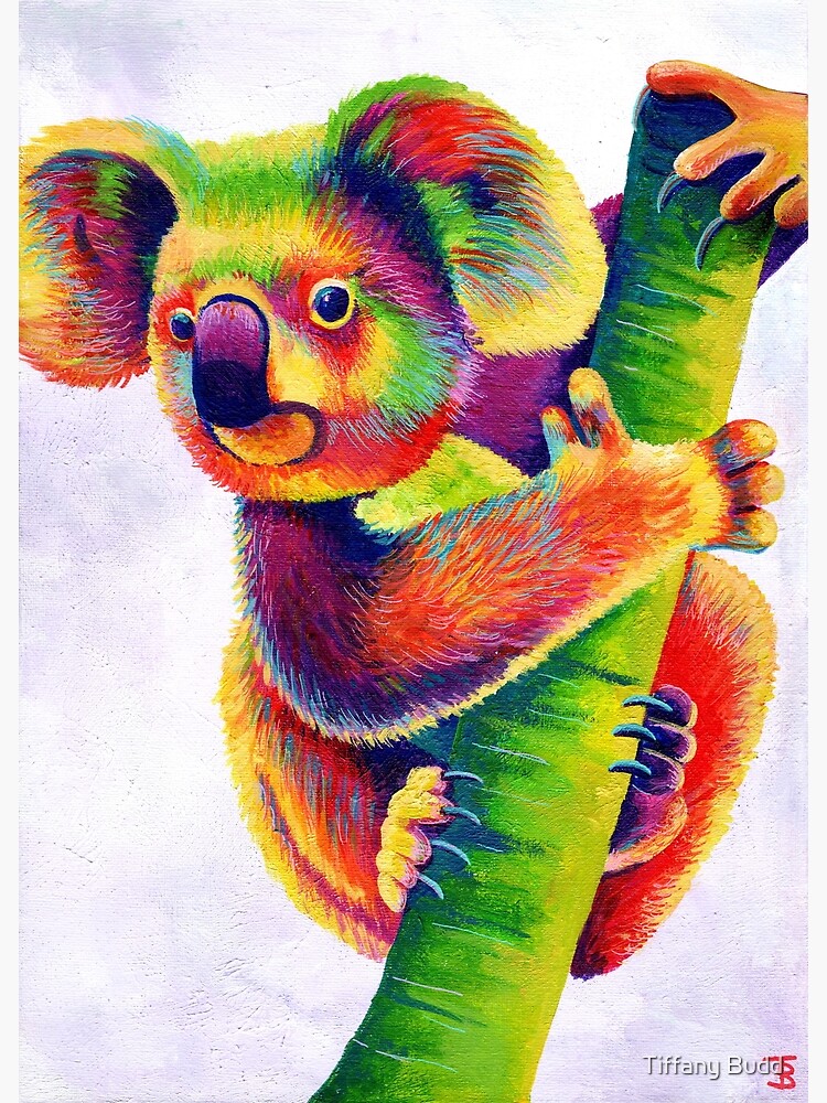 Rainbow Koala | Poster