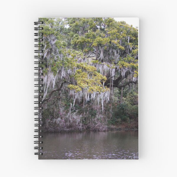 Item preview, Spanish Moss Over Water designed and sold by Cynthia48.