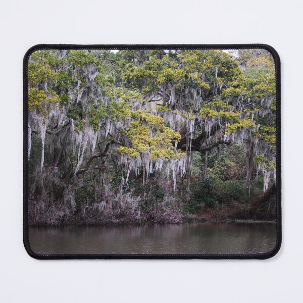Item preview, Spanish Moss Over Water designed and sold by Cynthia48.