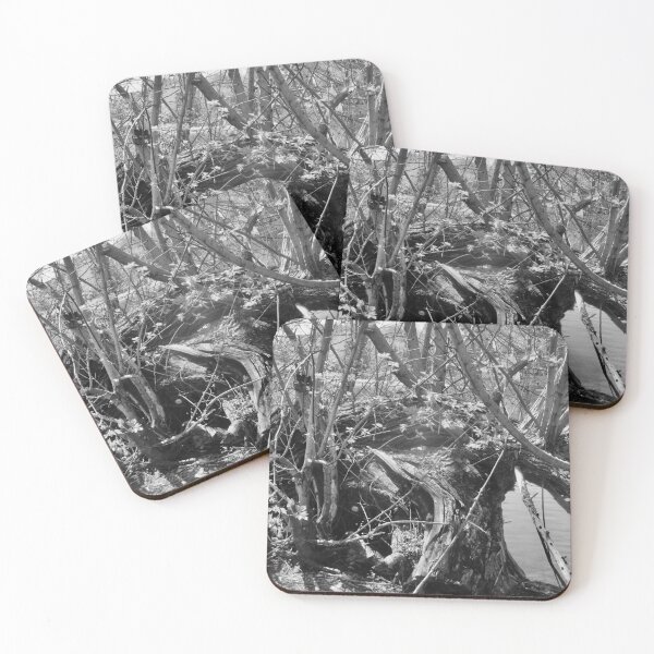 Item preview, Old fallen tree in Black and white designed and sold by Shulie1.