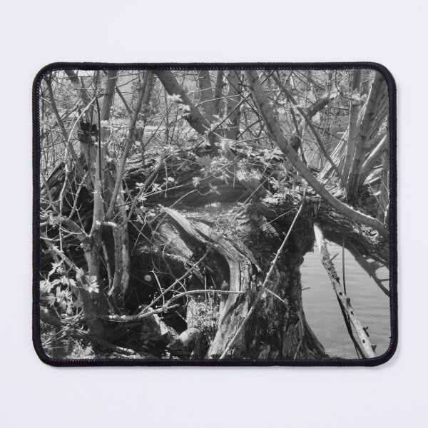 Item preview, Old fallen tree in Black and white designed and sold by Shulie1.