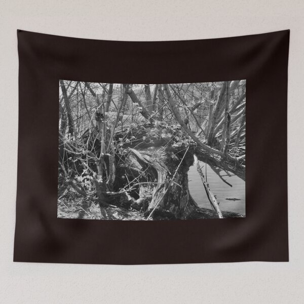 Item preview, Old fallen tree in Black and white designed and sold by Shulie1.