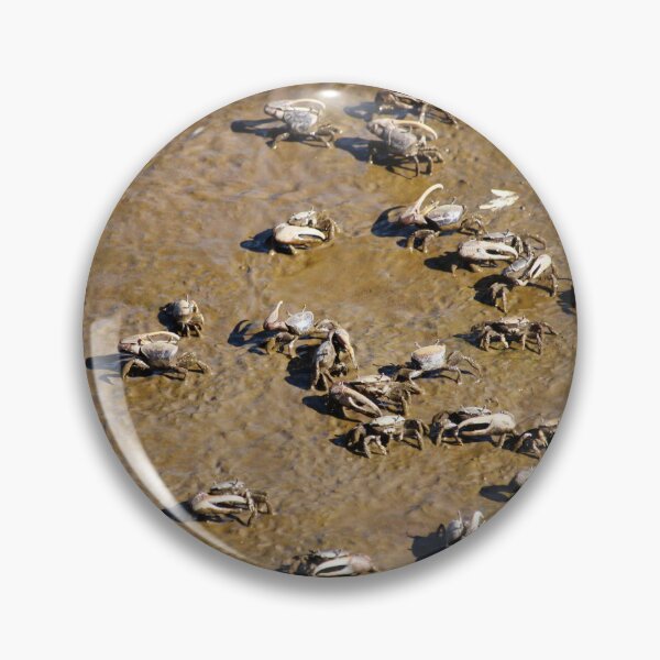 Item preview, Cast Of Crabs designed and sold by Cynthia48.