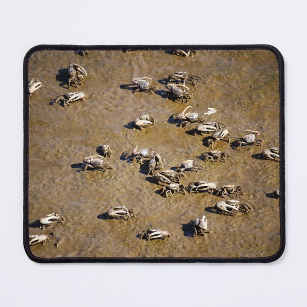 Item preview, Cast Of Crabs designed and sold by Cynthia48.