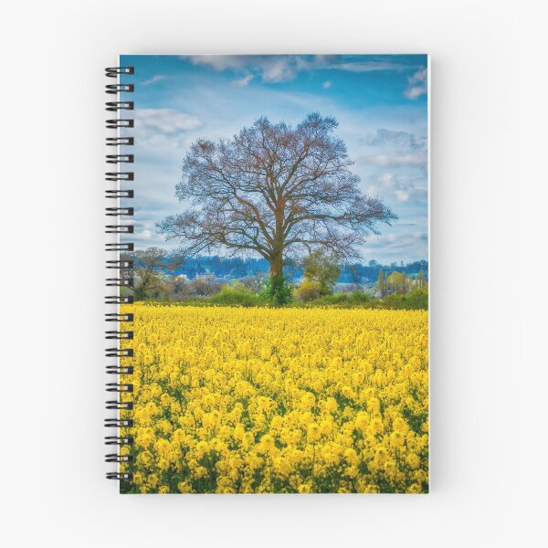 Item preview, Spring Colours designed and sold by Viv Thompson Photography .