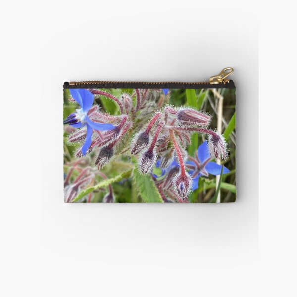 Item preview, Borage designed and sold by AHELENE.