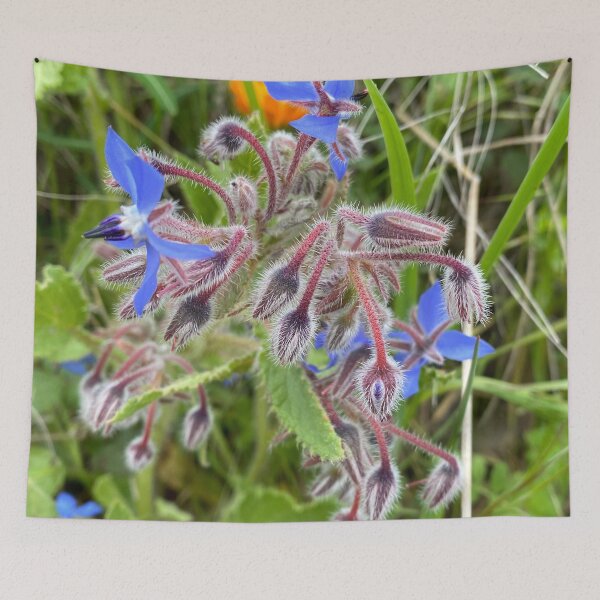 Item preview, Borage designed and sold by AHELENE.