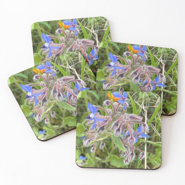 Item preview, Borage designed and sold by AHELENE.