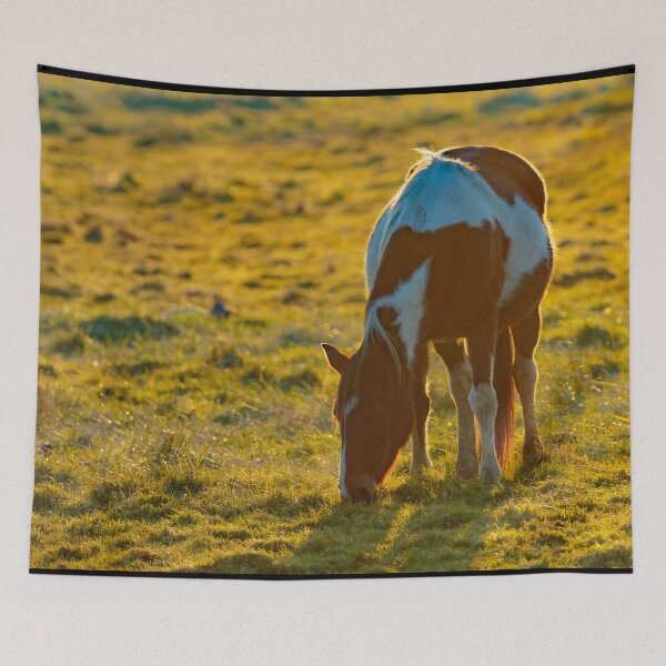Item preview, Backlit Horse designed and sold by Dalyndigital Photography.