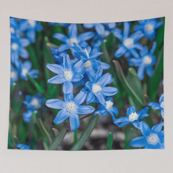 Item preview, Easter Snow Glories  designed and sold by Roger Porter Photography.