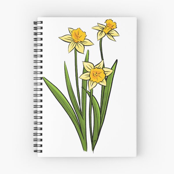 Item preview, A bunch of daffodils  designed and sold by Lythop-art.