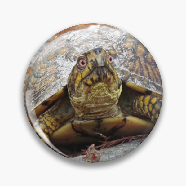 Item preview, Eastern Box Turtle designed and sold by Cynthia48.