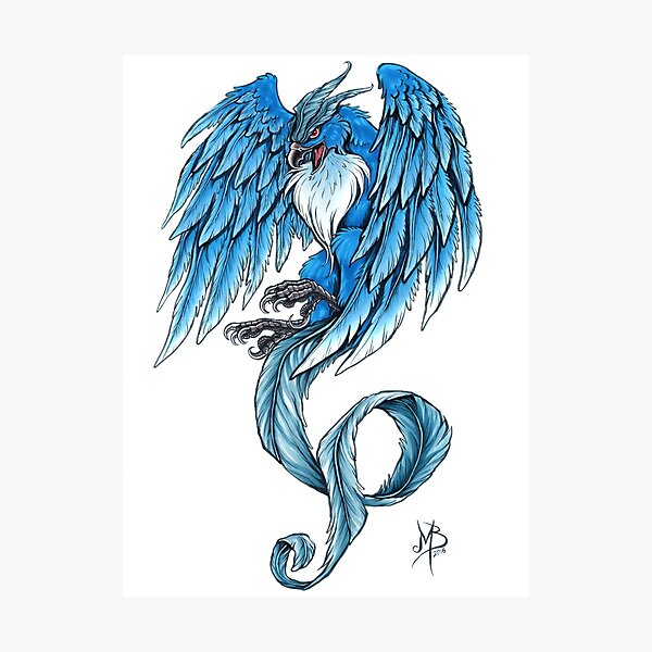 Articuno Photographic Print