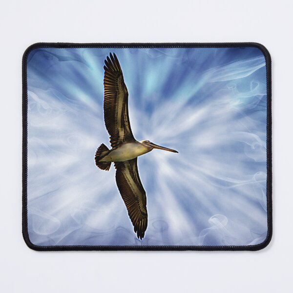 Item preview, A Puerto Lopez Pelican Soars designed and sold by alabca.