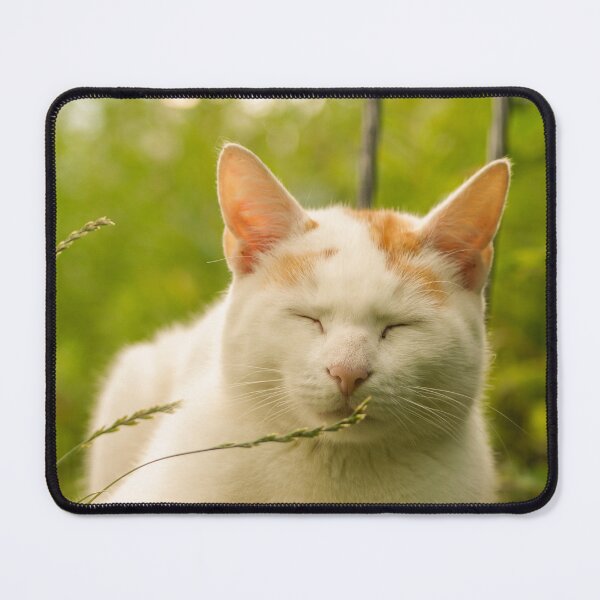 Item preview, Cat Arno in spring designed and sold by Lalingla.