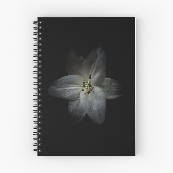 Item preview, Backyard Flowers 28 Color Version designed and sold by The Learning Curve Photography.
