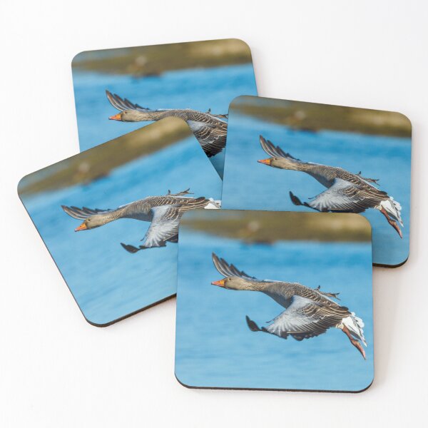 Item preview, Greylag fly-by designed and sold by Dalyndigital Photography.