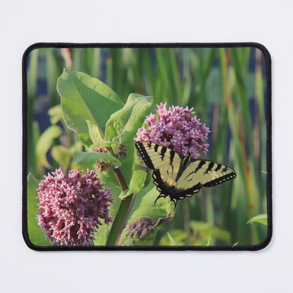 Item preview, Eastern tiger swallowtail designed and sold by rootedrender.