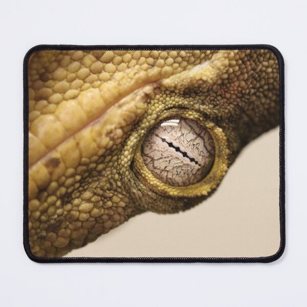 Item preview, New Caledonia Giant Gecko  designed and sold by rootedrender.
