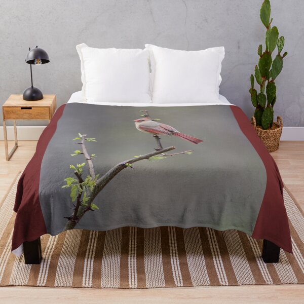 Item preview, Cardinal in the Rain designed and sold by LisaNaturePhoto.