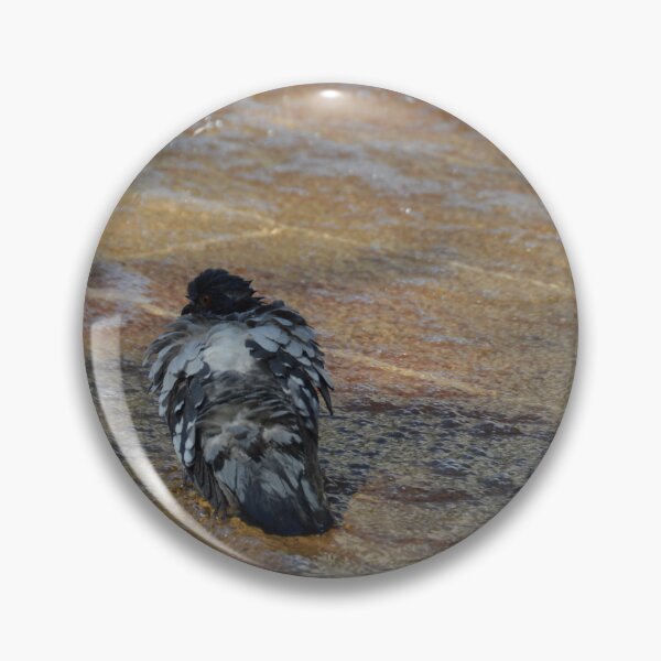 Item preview, Pidgeon cooling off in a fountain designed and sold by Gabriele Marcucci.