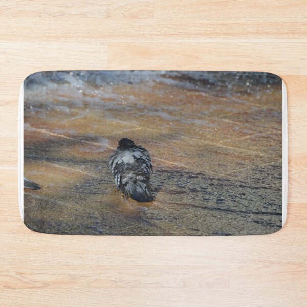 Item preview, Pidgeon cooling off in a fountain designed and sold by Gabriele Marcucci.