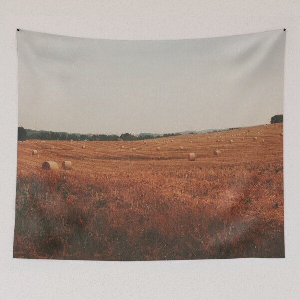 Item preview, Field in Skåne - Swedish Art Print designed and sold by Emilia Oxelheim.