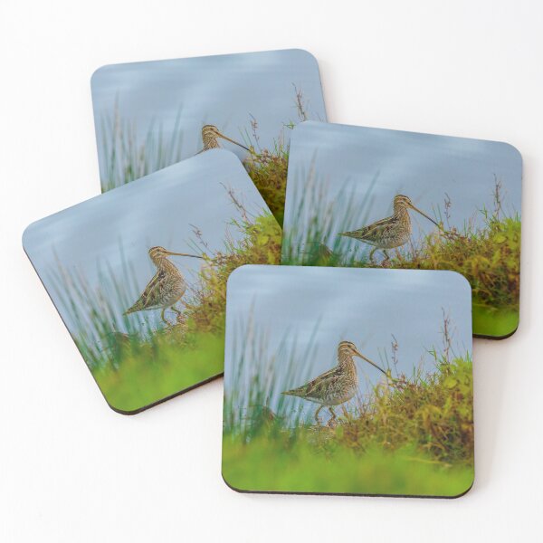 Item preview, Snipe at the waters edge designed and sold by Dalyndigital Photography.
