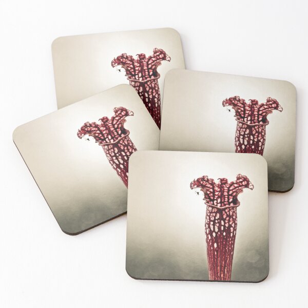 Item preview, Carnivorous plant designed and sold by SofiaAlves.