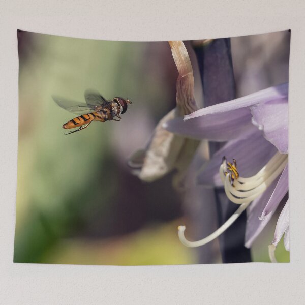 Item preview, A hover fly  designed and sold by cmphotographs.