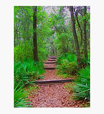The Way Up Photographic Print