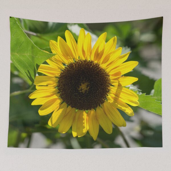 Item preview, Sunny Sunflower - the Beautiful National Flower of Ukraine designed and sold by Georgia Mizuleva.