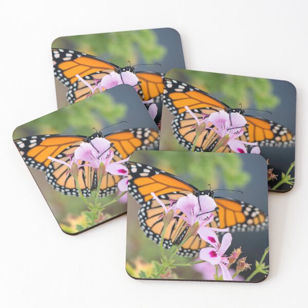 Item preview, monarch butterfly, "hang on" designed and sold by sarahjeanphoto.