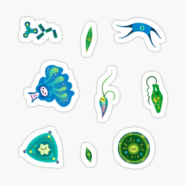 Item preview, Phytoplankton designed and sold by pikaole.