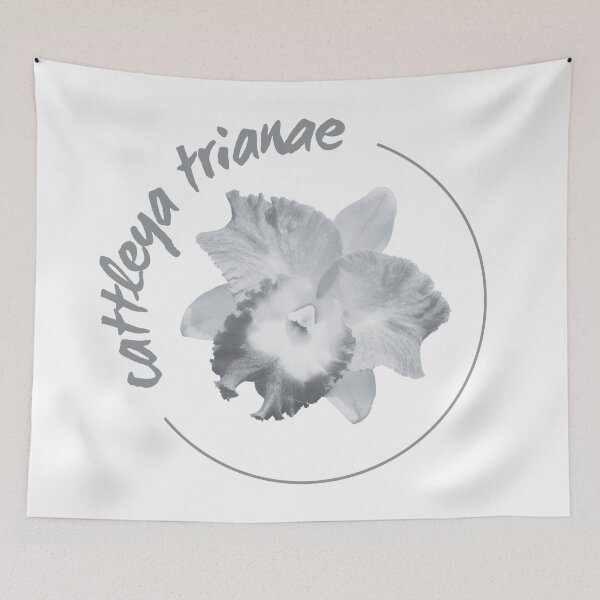 Item preview, Cattleya trianae designed and sold by Juank8200.
