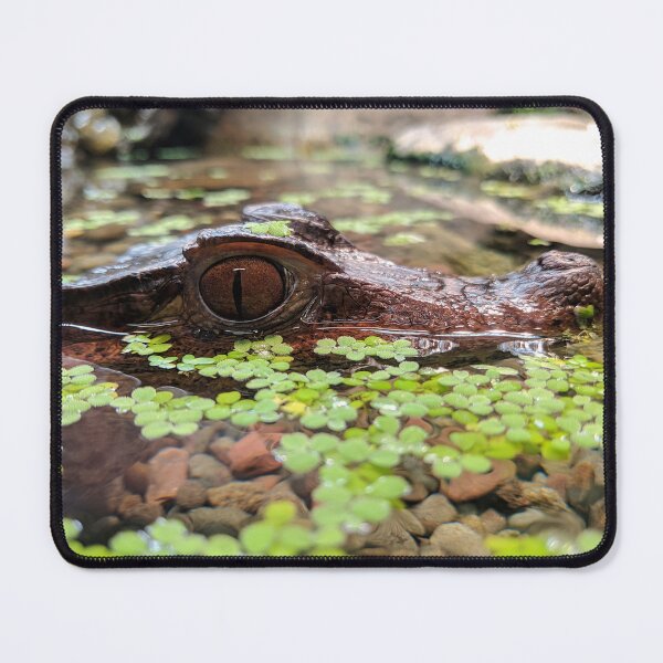Item preview, Cuvier's dwarf caiman designed and sold by rootedrender.