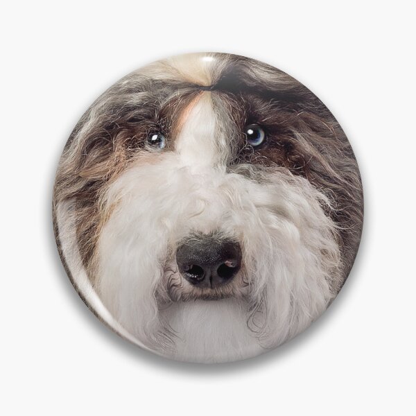Item preview, sheepadoodle designed and sold by david parry.